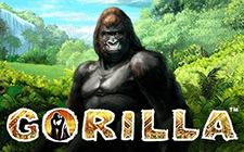 Игровой автомат Gorilla Игровой автомат Gorilla